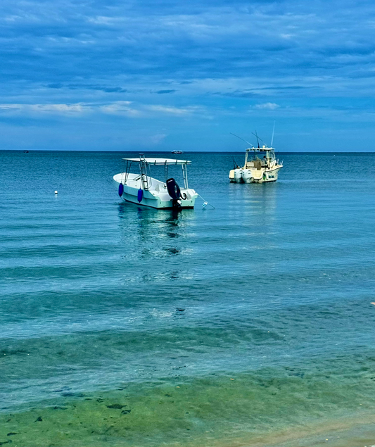 The Future of Sun Care, From Island to Icon
